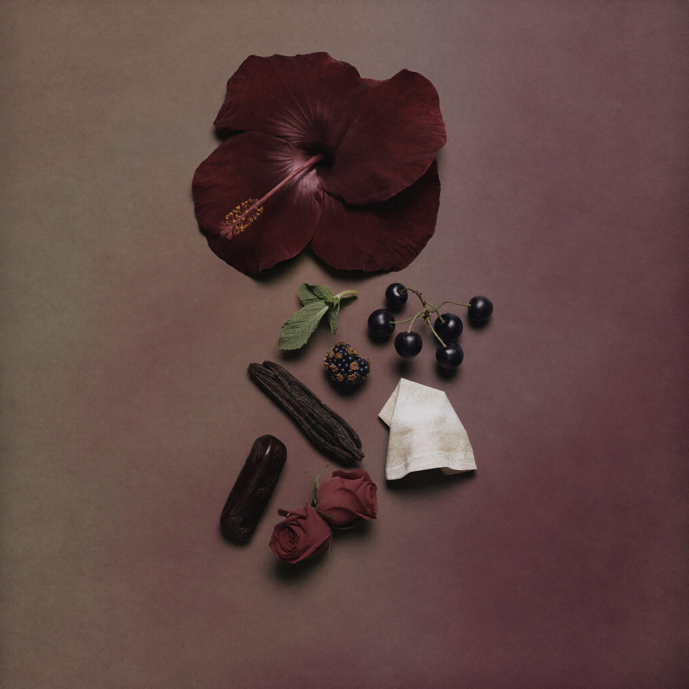 Unisex Duftzwilling Hibiscus, Ingredienzien Bild mit Hibiskus, Hibiskustee, schwarzer Johannisbeere, Damaskus Rose, Vanille Absolue und Leder, hohe Duftölkonzentration, Lúa Fragrances