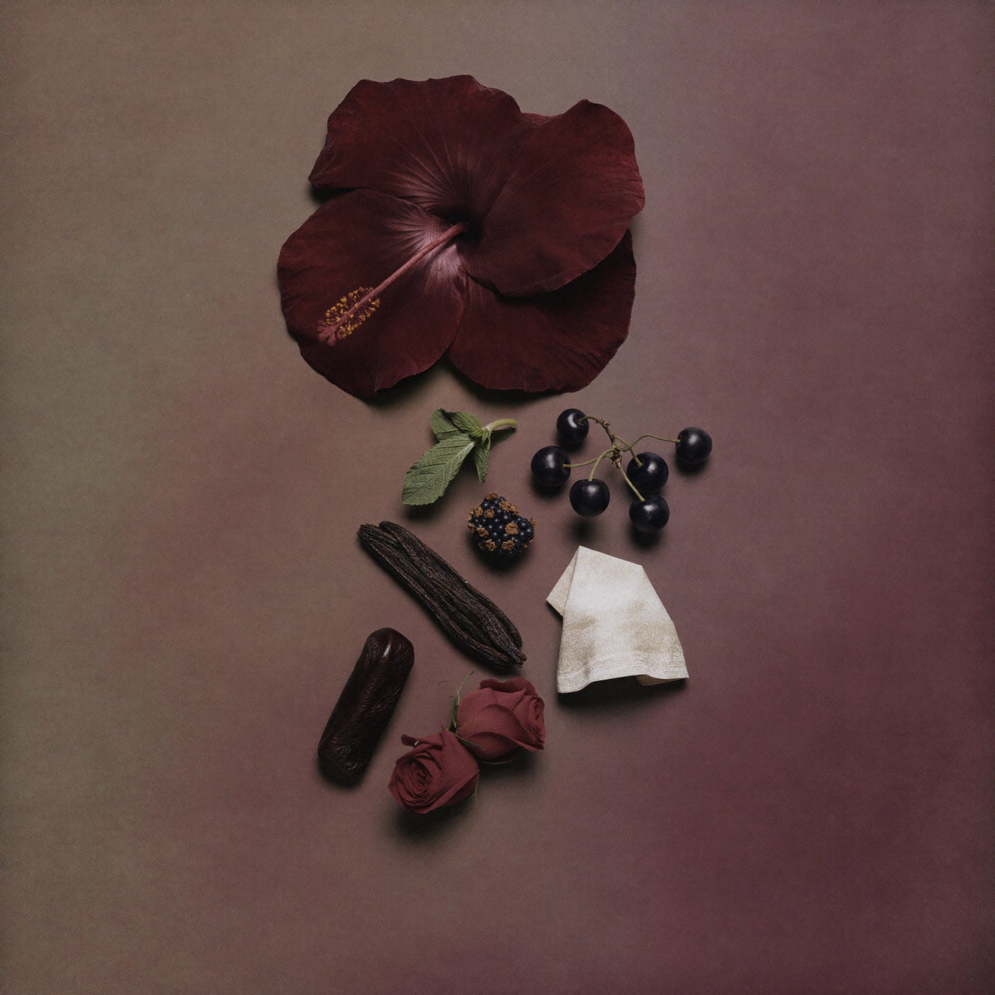 Unisex Duftzwilling Hibiscus, Ingredienzien Bild mit Hibiskus, Hibiskustee, schwarzer Johannisbeere, Damaskus Rose, Vanille Absolue und Leder, hohe Duftölkonzentration, Lúa Fragrances