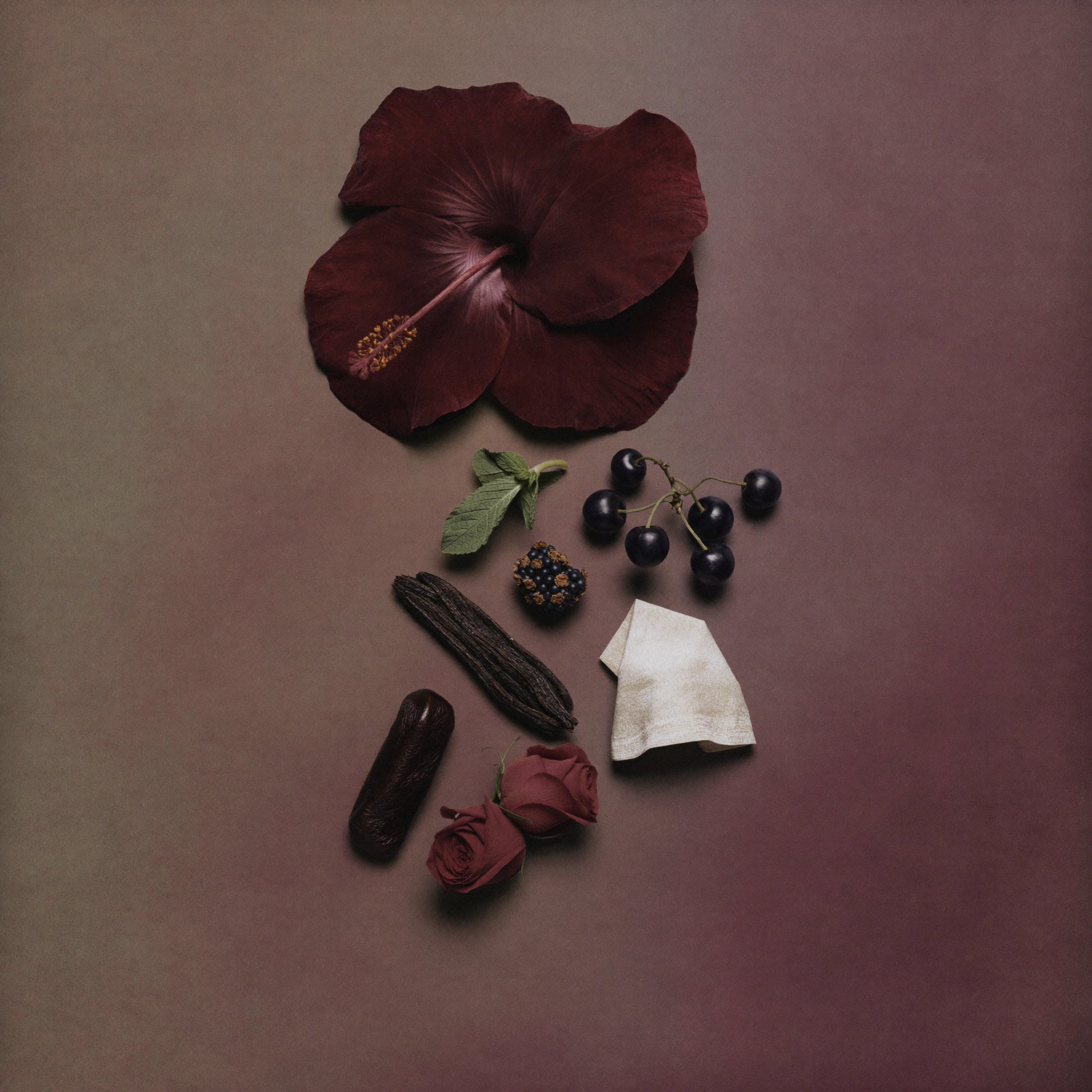 Unisex Duftzwilling Hibiscus, Ingredienzien Bild mit Hibiskus, Hibiskustee, schwarzer Johannisbeere, Damaskus Rose, Vanille Absolue und Leder, hohe Duftölkonzentration, Lúa Fragrances