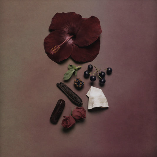 Unisex Duftzwilling Hibiscus, Ingredienzien Bild mit Hibiskus, Hibiskustee, schwarzer Johannisbeere, Damaskus Rose, Vanille Absolue und Leder, hohe Duftölkonzentration, Lúa Fragrances