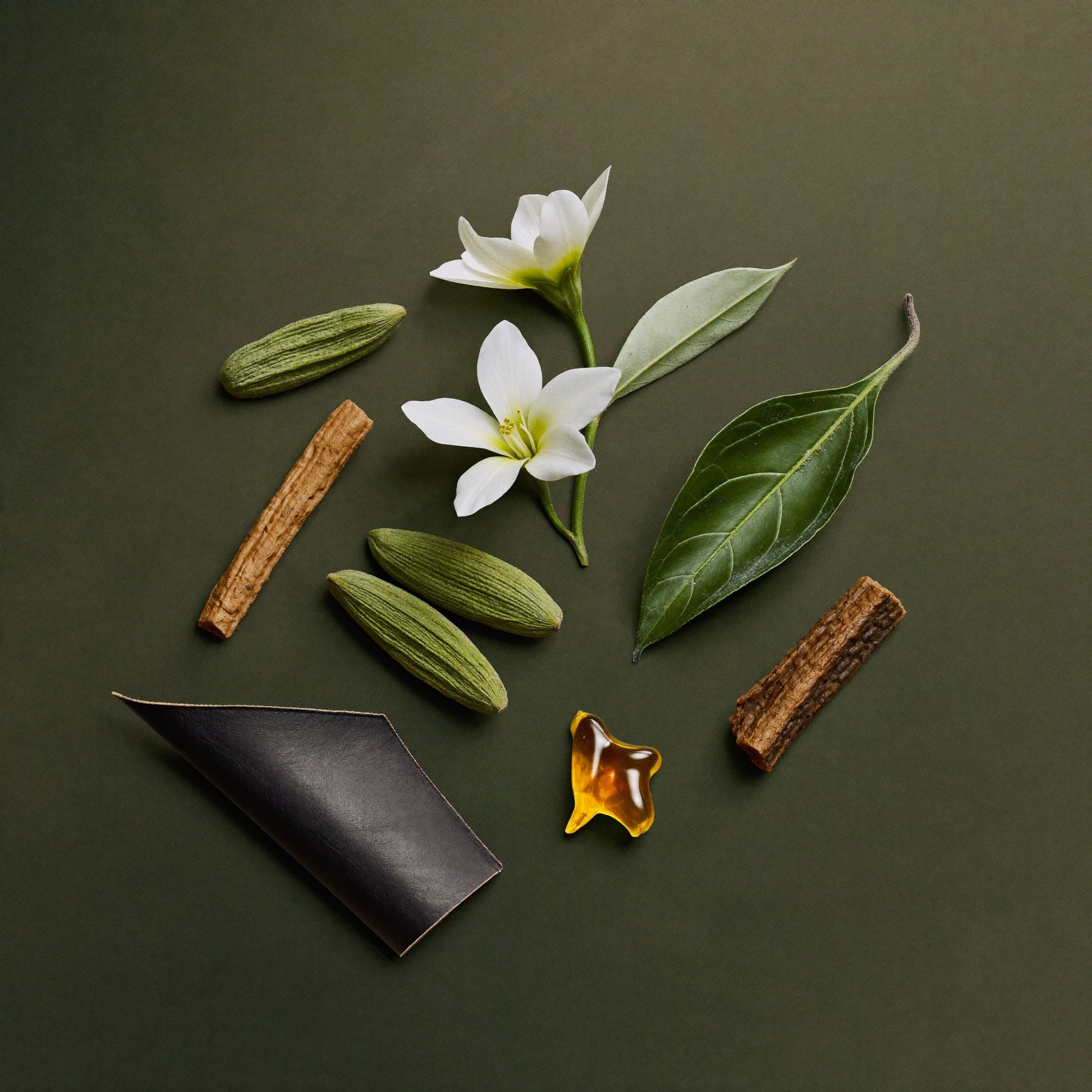 Unisex Duftzwilling Hombreau Ladder, Ingredienzien Bild mit Kardamom, Jasmin Sambac, Veilchenblatt, schwarzem Leder, Amber und Patchouli Tabak, hohe Duftölkonzentration, Lúa Fragrances