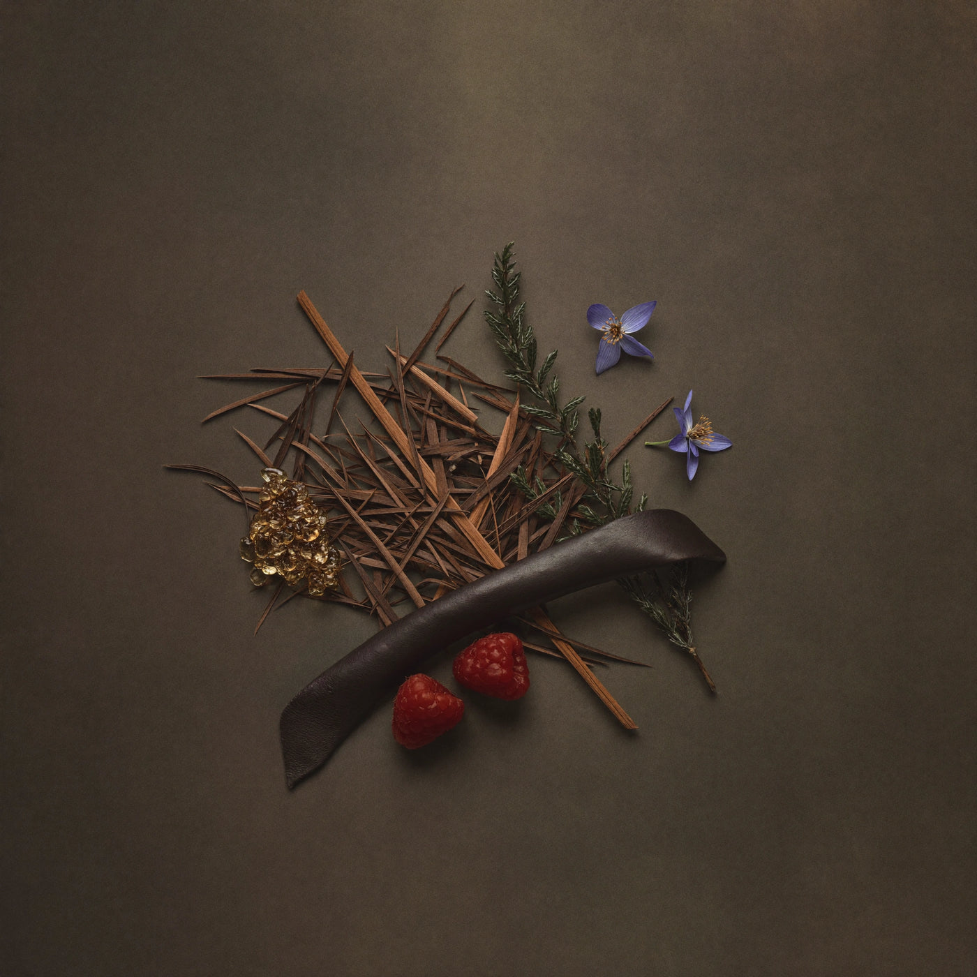 Unisex Duftzwilling London, Ingredienzien Bild mit Oud, Zypresse, Veilchen, Himbeere, Leder sowie Amber Vanille, hohe Duftölkonzentration, Lúa Fragrances