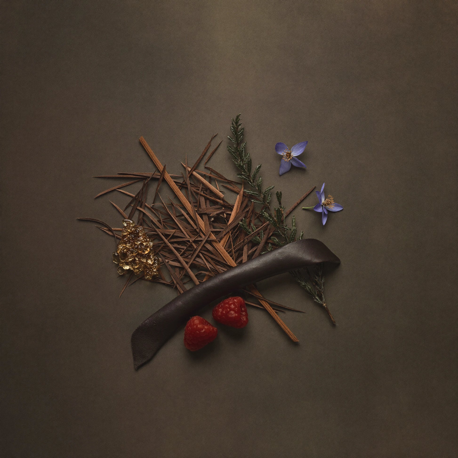 Unisex Duftzwilling London, Ingredienzien Bild mit Oud, Zypresse, Veilchen, Himbeere, Leder sowie Amber Vanille, hohe Duftölkonzentration, Lúa Fragrances