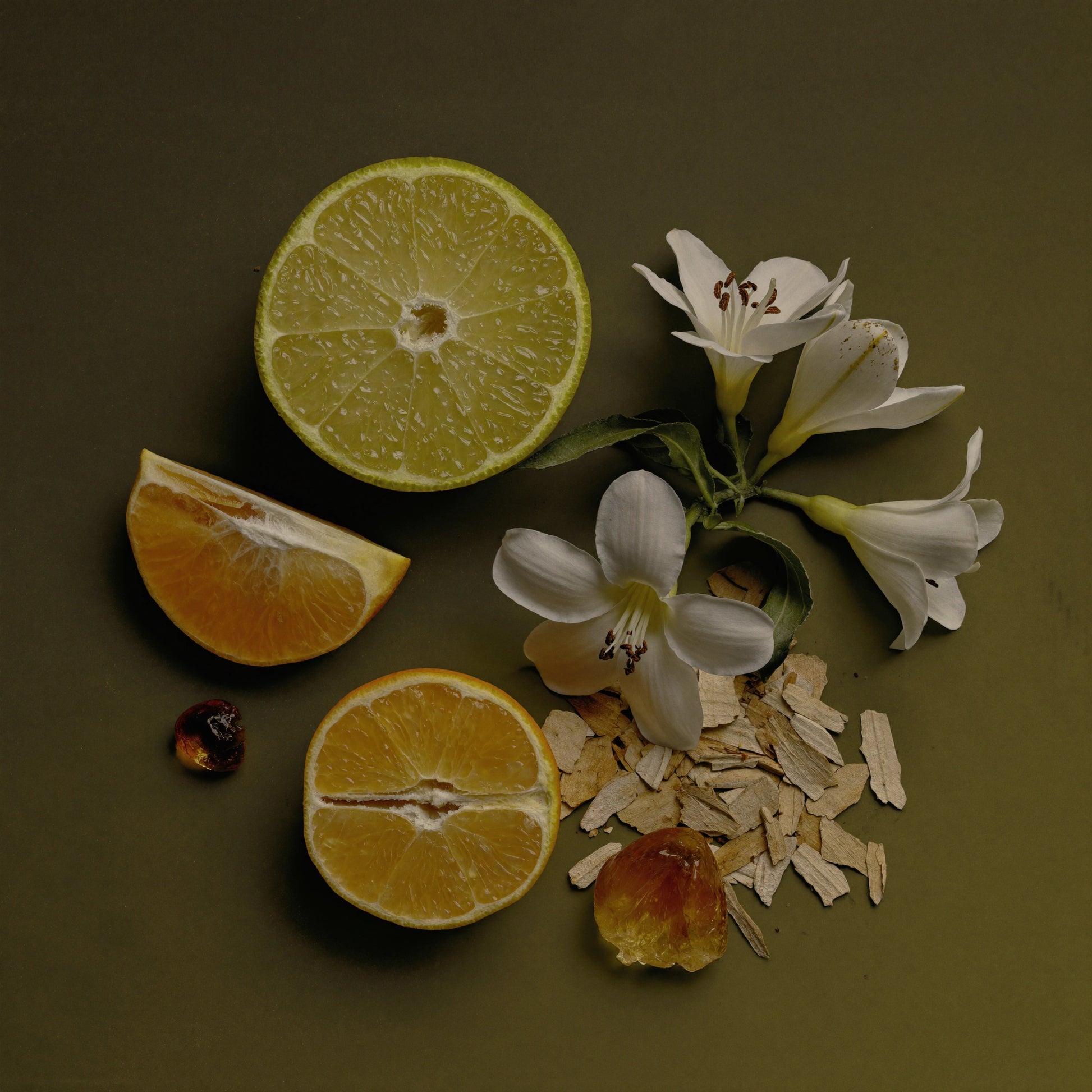 Unisex Duftzwilling Lyhra, Ingredienzien Bild mit Bergamotte, Zitrone, Mandarine, Orangenblüte, Vanille und Amber Sandelholz, hohe Duftölkonzentration, Lúa Fragrances
