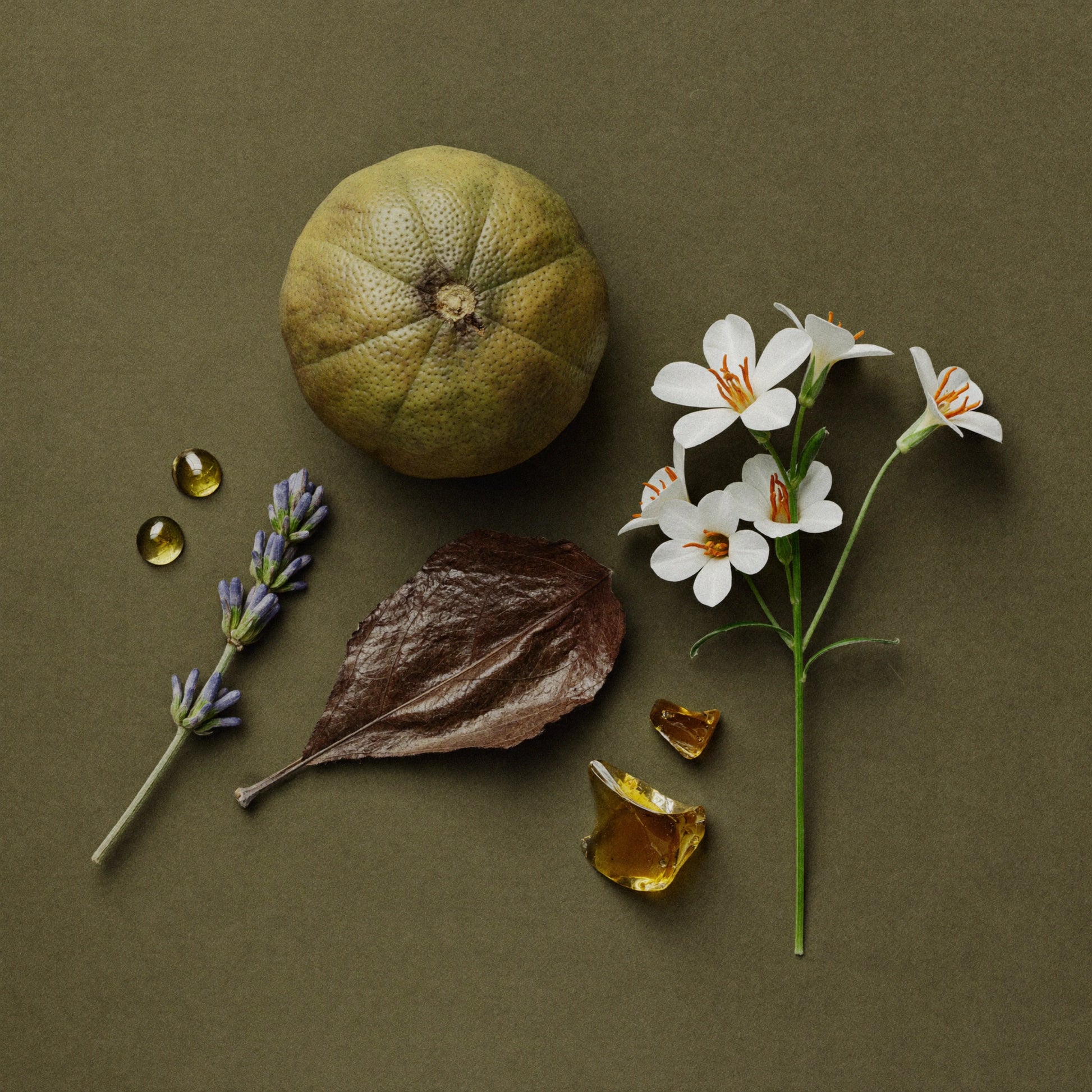 Unisex Duftzwilling Maxus, Ingredienzien Bild mit Bergamotte, Lavendel, Honig, Zimt, Tabakblatt und Vanille Tonkabohne, hohe Duftölkonzentration, Lúa Fragrances