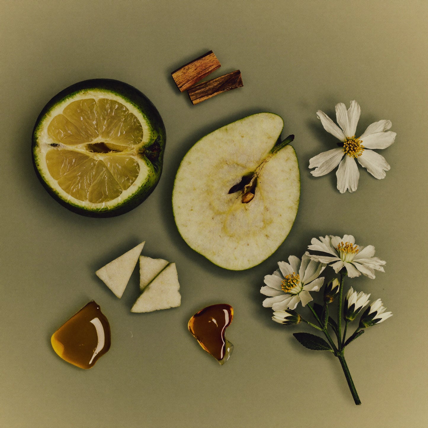 Unisex Duftzwilling Nots Forty, Ingredienzien Bild mit Zitrone, Bergamotte, Mandarine, Neroli, Sandelholz und Amber Moschus, hohe Duftölkonzentration, Lúa Fragrances