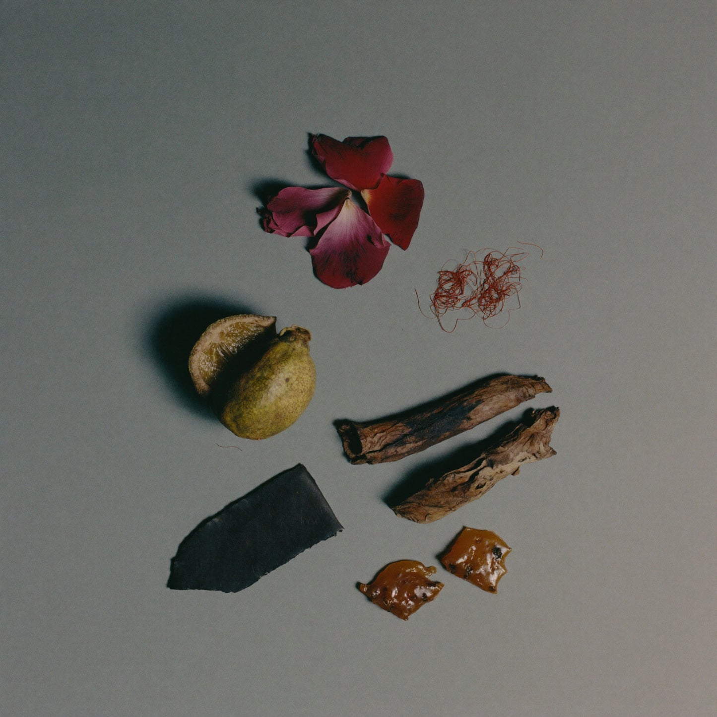 Unisex Duftzwilling Tonka Arabesque, Ingredienzien Bild mit Safran, Bergamotte, nepalesischem Oud, Rose, Tonkabohne und Amber Eichenmoos, hohe Duftölkonzentration, Lúa Fragrances