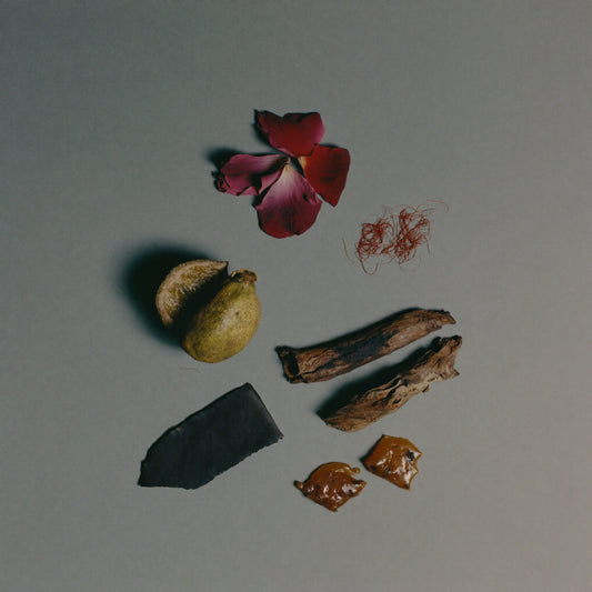 Unisex Duftzwilling Tonka Arabesque, Ingredienzien Bild mit Safran, Bergamotte, nepalesischem Oud, Rose, Tonkabohne und Amber Eichenmoos, hohe Duftölkonzentration, Lúa Fragrances