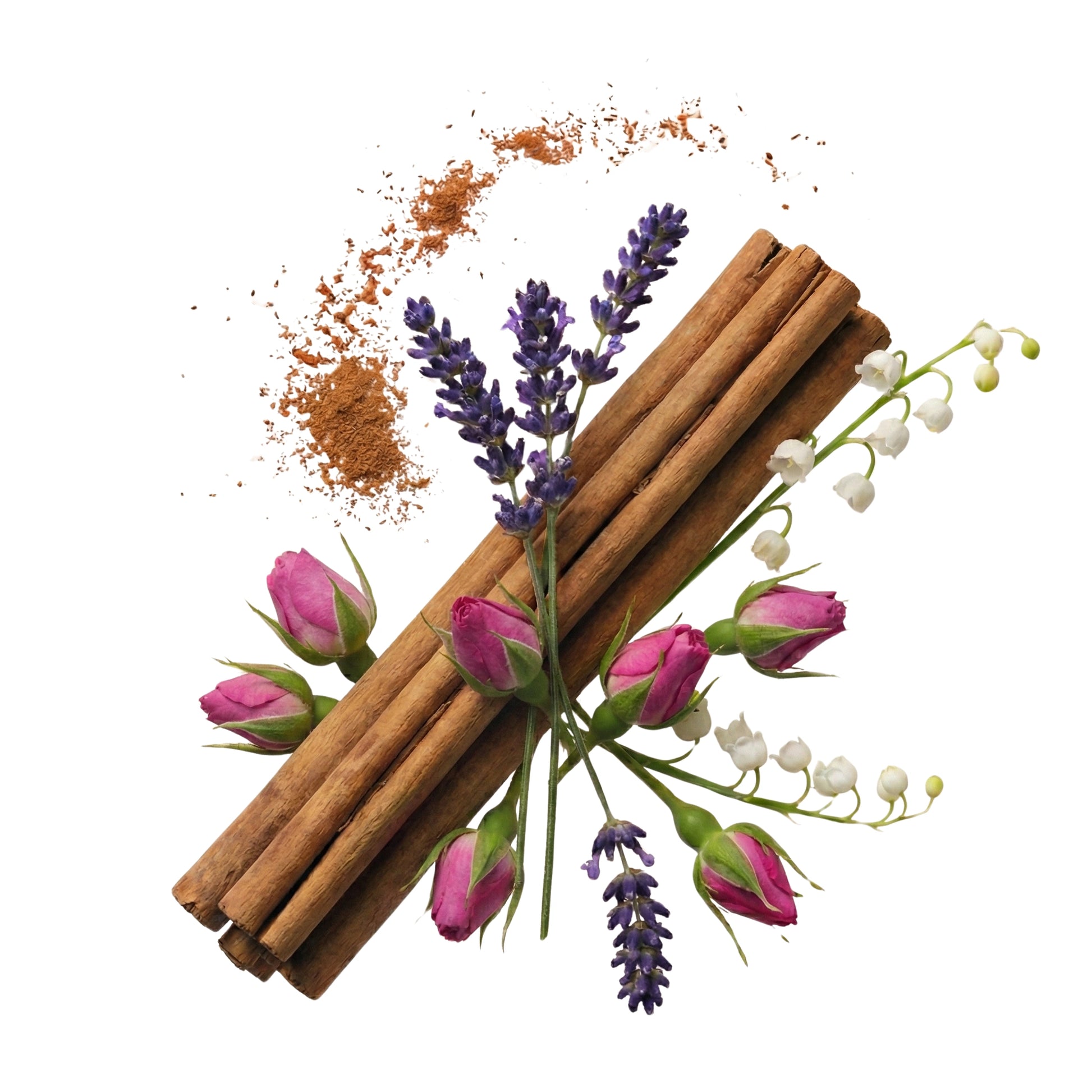 Unisex Duftzwilling Alexander, Ingredienzien Bild mit Lavendel, Apfel, Zimt, bulgarischer Rose, laotischem Oud und Amber Vanille, hohe Duftölkonzentration, Lúa Fragrances